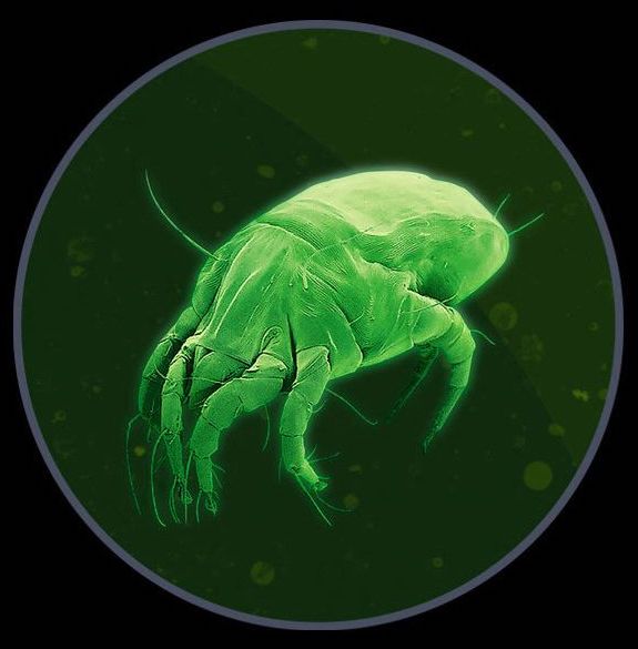 dyson-gen5detect-absolute-7